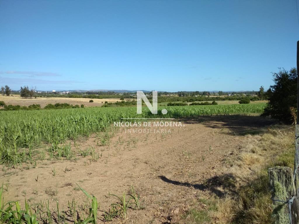 Ruta 104 zona ideal para vivir todo el año