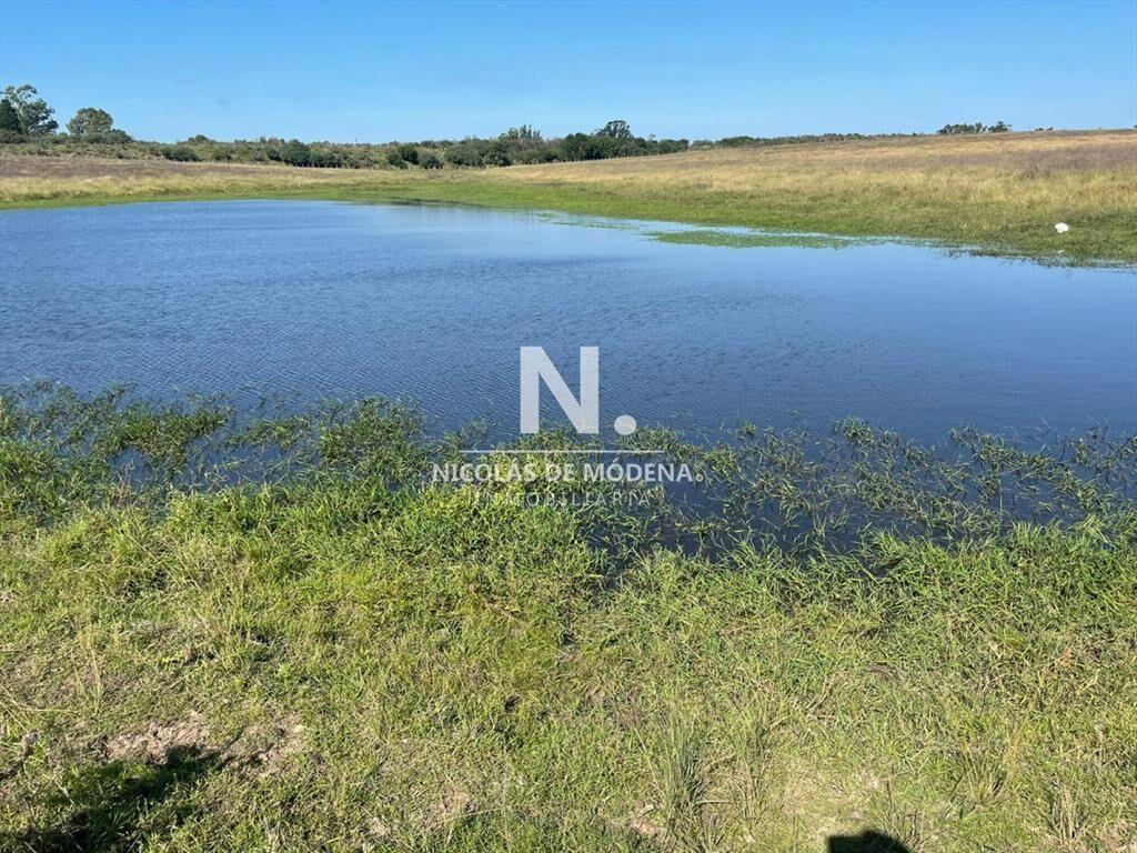 Campo en venta en hermosa zona