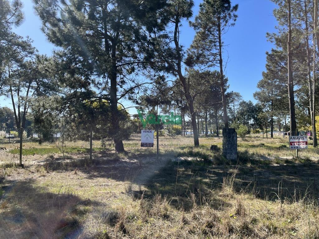 Terreno de 5608 m2 Pinar Sur , en venta .