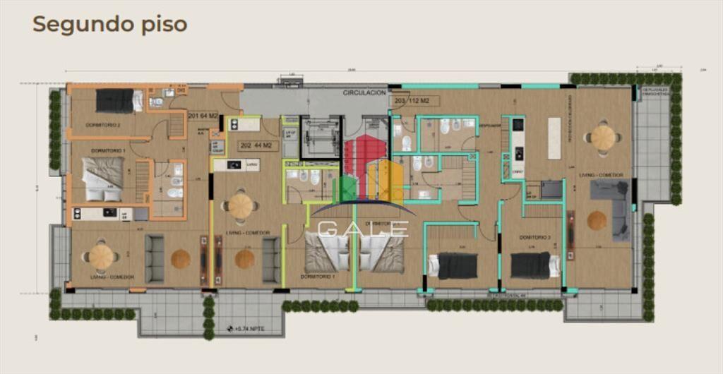 PROYECTO MODELO, nuevo lanzamiento en Punta del