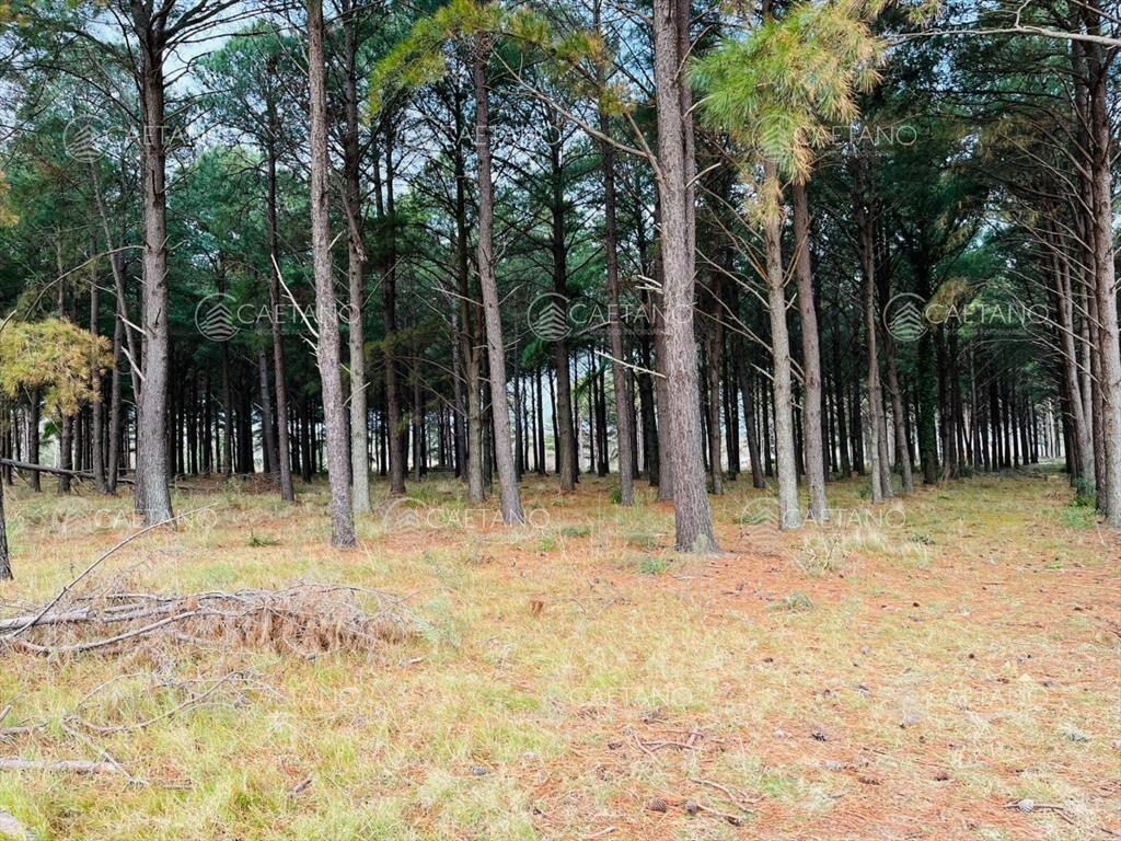 Terreno en Oportunidad Chacras del Pinar
