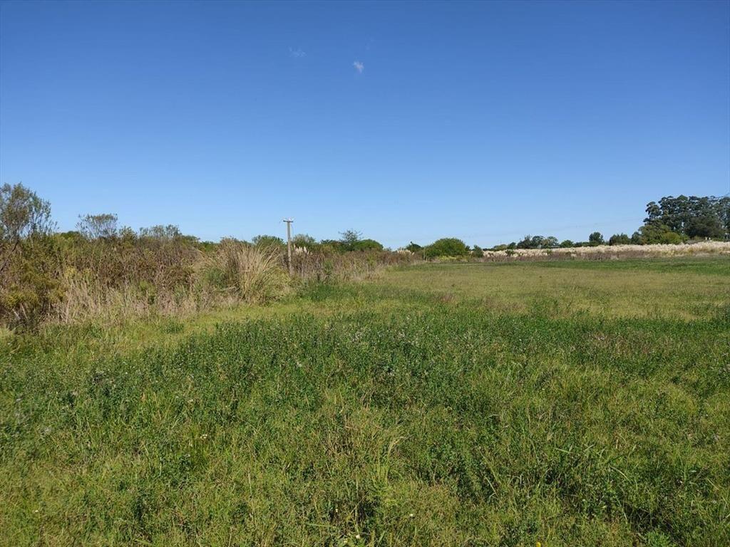 Venta Campo casi 4 hás, a 1 cuadra de Ruta 75