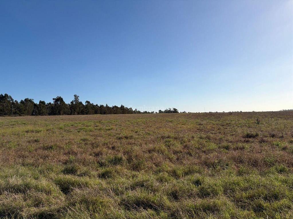Venta Campo Canelones