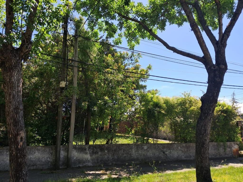 Buen predio, muy lindo entorno, sobre calle Orleans, Carras