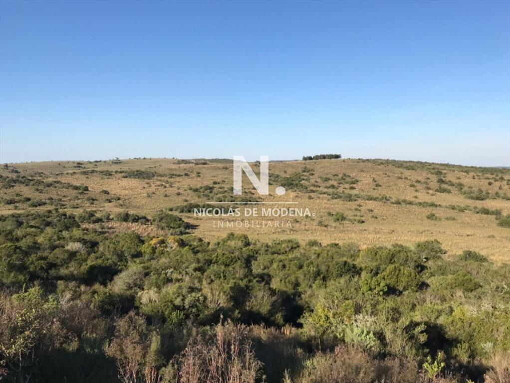 Campo ganadero en venta.
