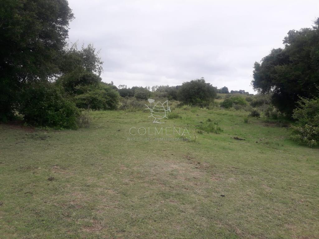 Campo de 5 has con 5891 m2