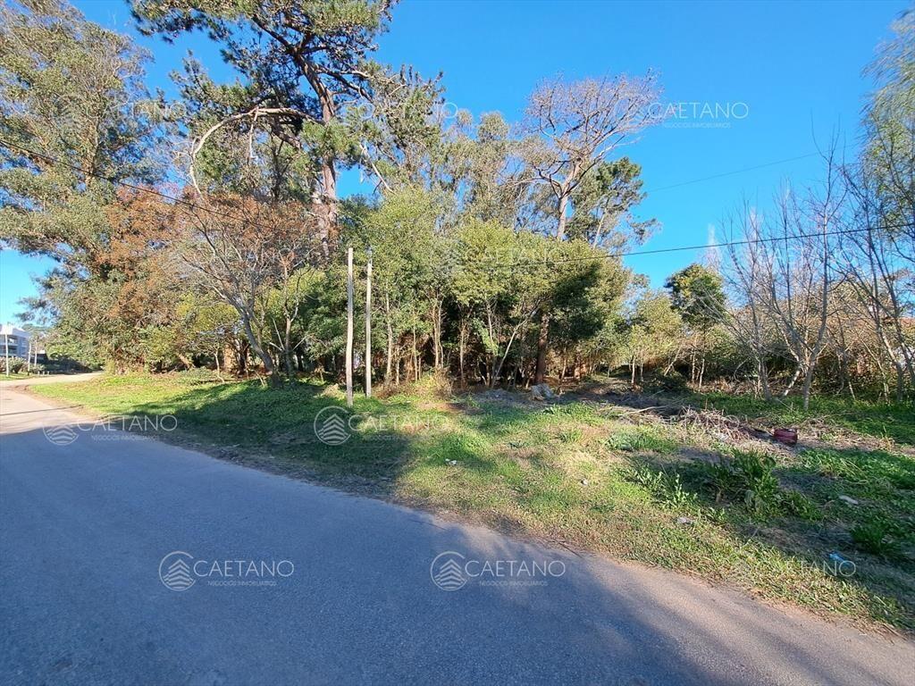 Venta de lote 650 M2 Rincón del Indio