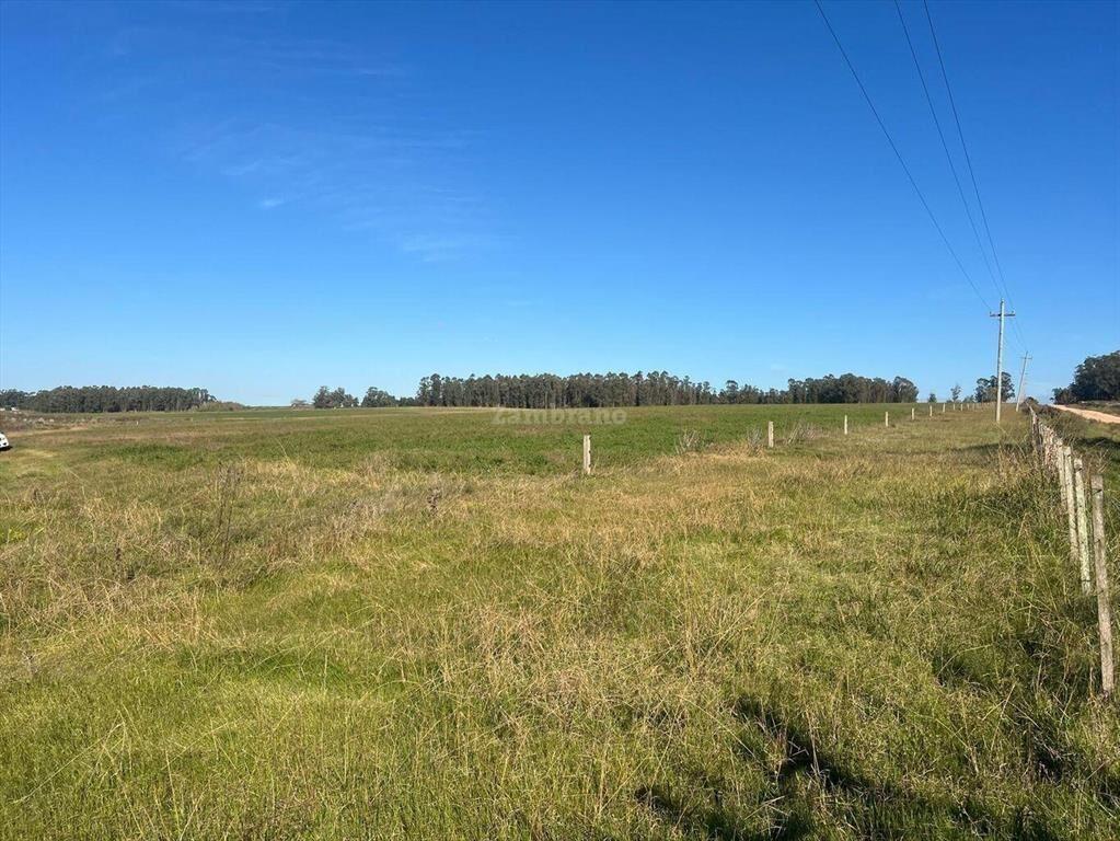 Venta Campo Canelones