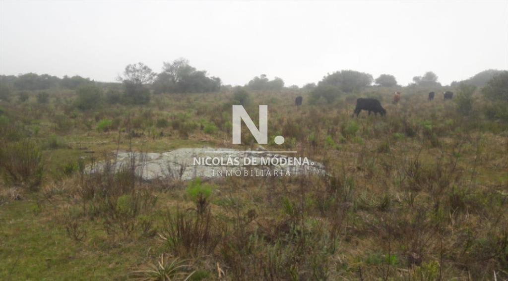 Campo Ganadero en Venta en Aigua