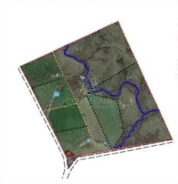 Campo en Florida agrícola-ganadero