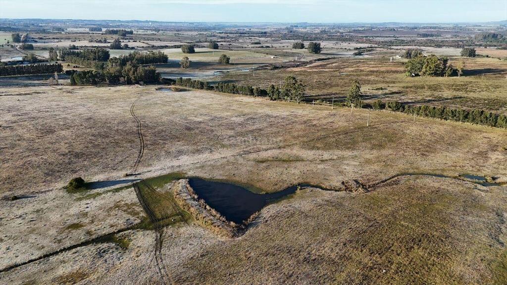 Chacra de 86 ha en Maldonado