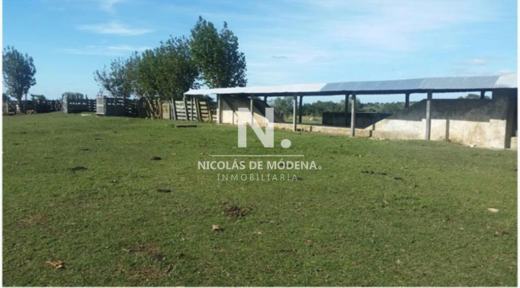 En venta campo tipo criador en Montevideo - y