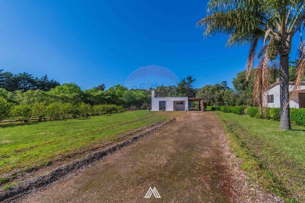 Venta de campo 3,5Ha. sobre Ruta 87 con dos casas.