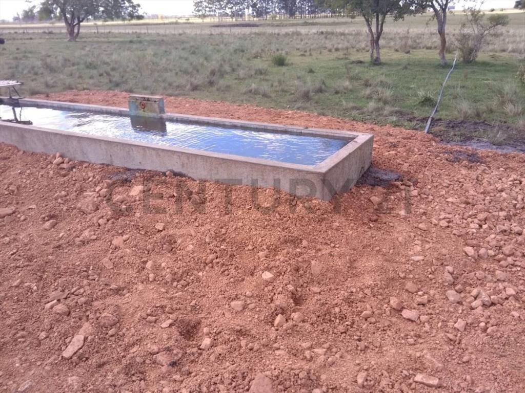 Venta Campo Productivo en Lavalleja de 26,5 hectáreas. Ru...