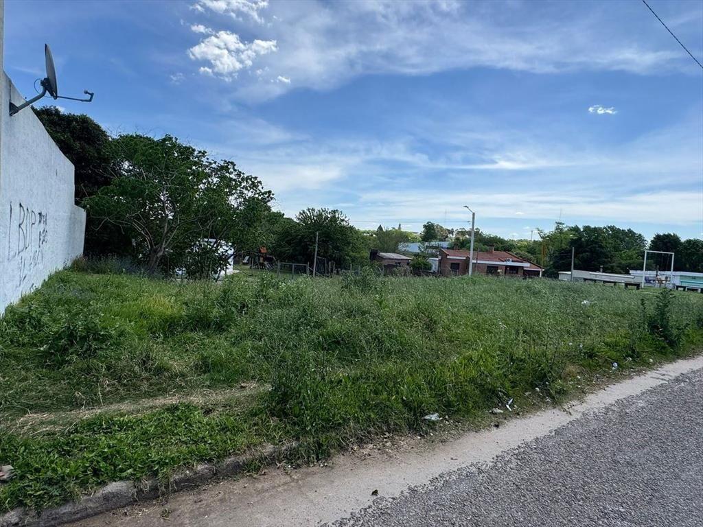Terreno con excelente ubicación