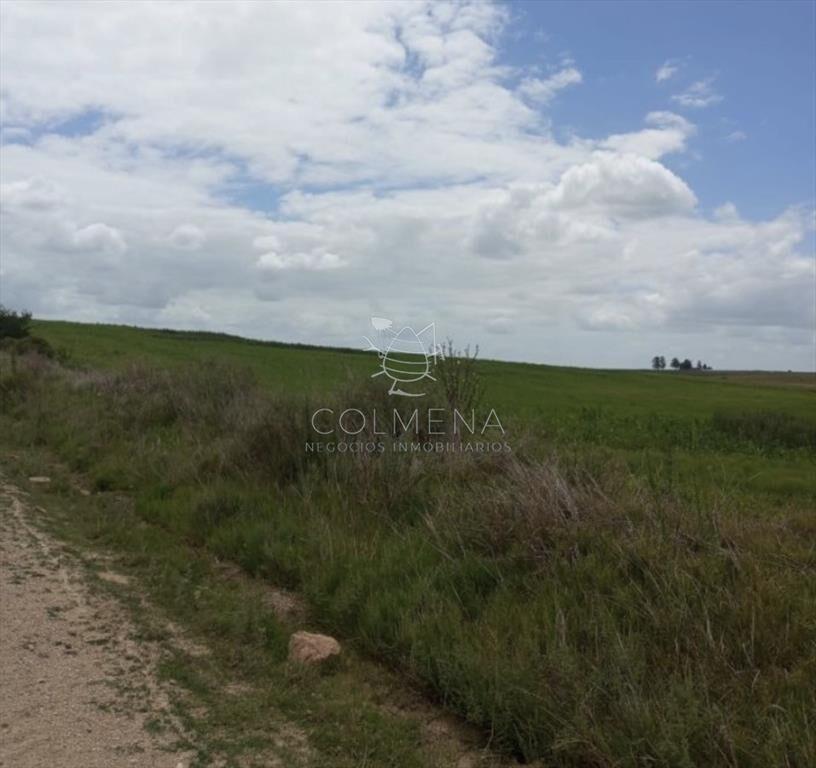 Campo en Florida agrícola-ganadero