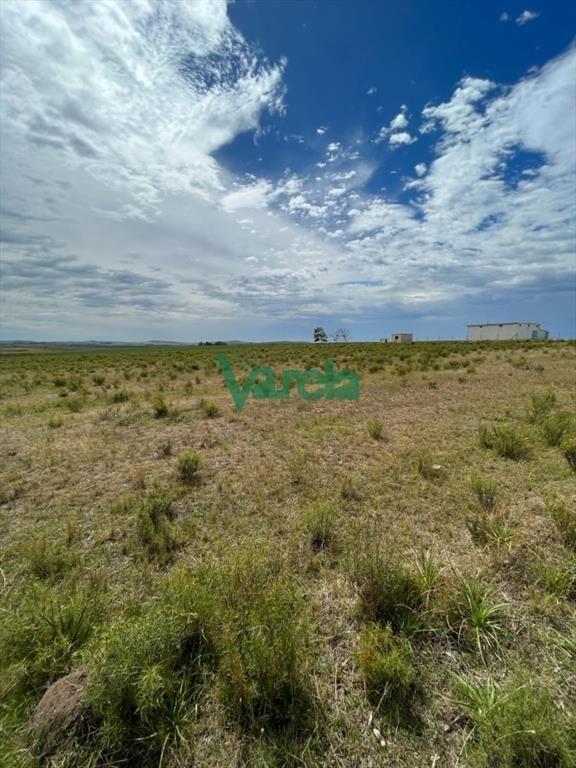 VENTA DE CHACRA EN MALDONADO