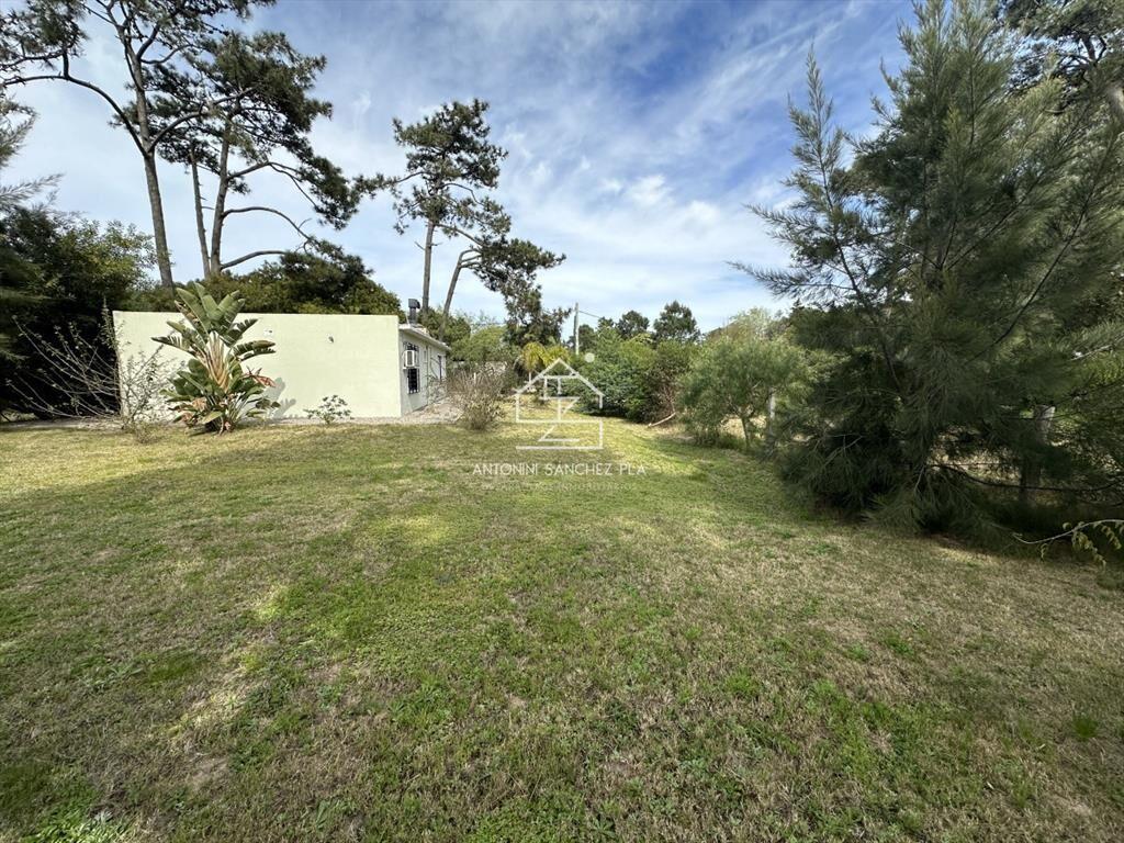 Venta casa en TÃo Tom