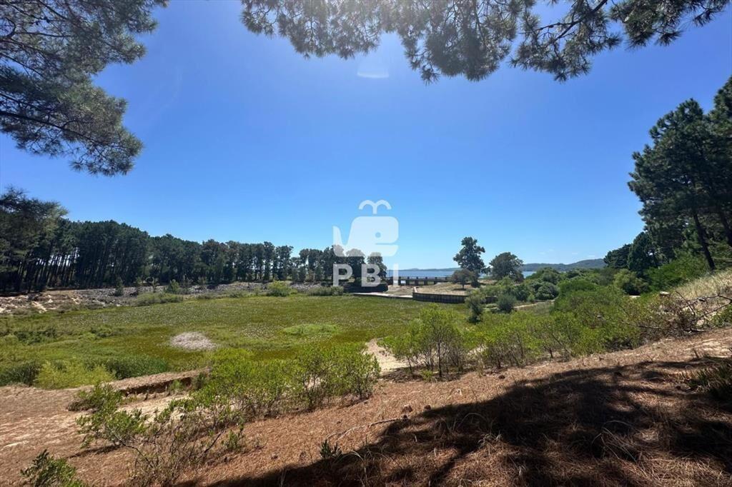 Terreno en venta en Club del Lago, Punta Ballena.