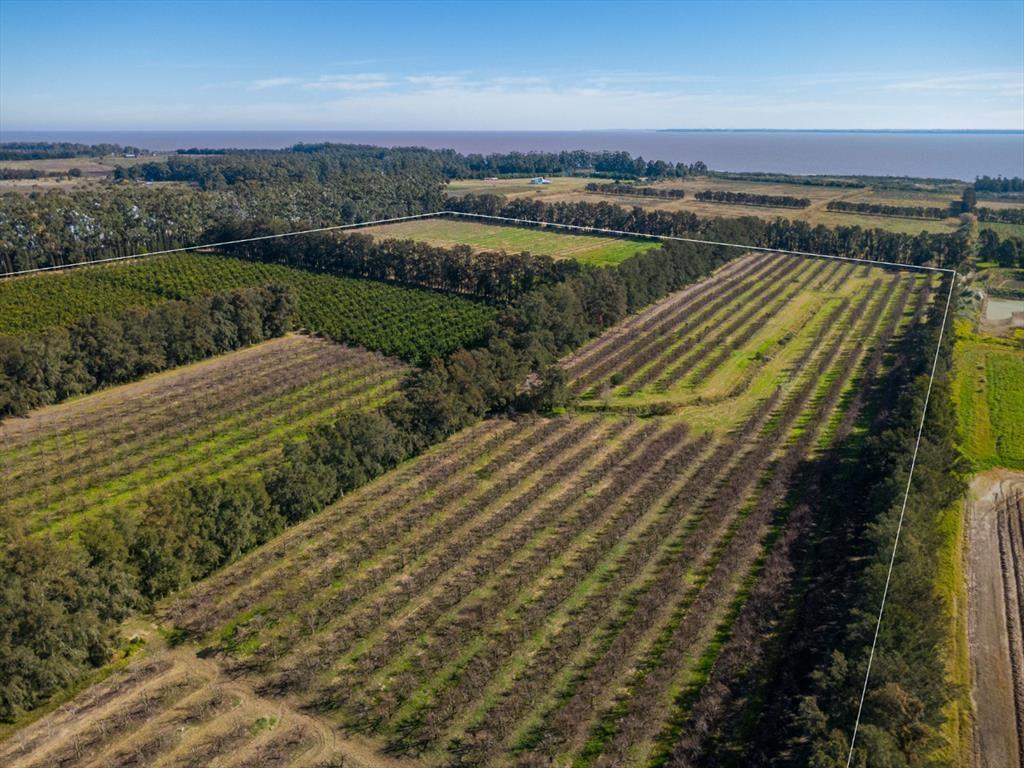 VENTA DE CHACRA 20 has EN PUNTA ESPINILLO