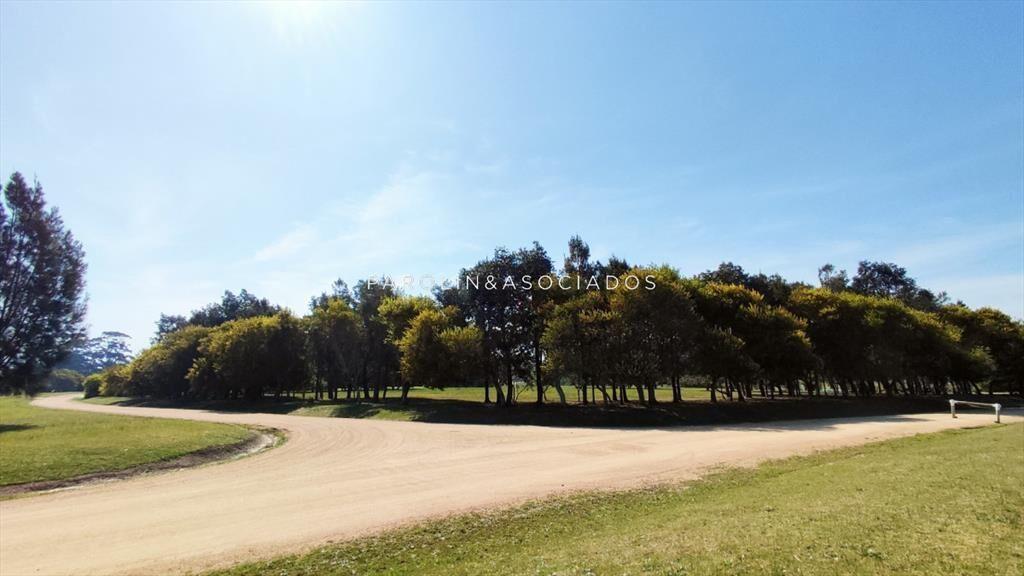 Hermoso lote en venta en El Quijote, Punta del