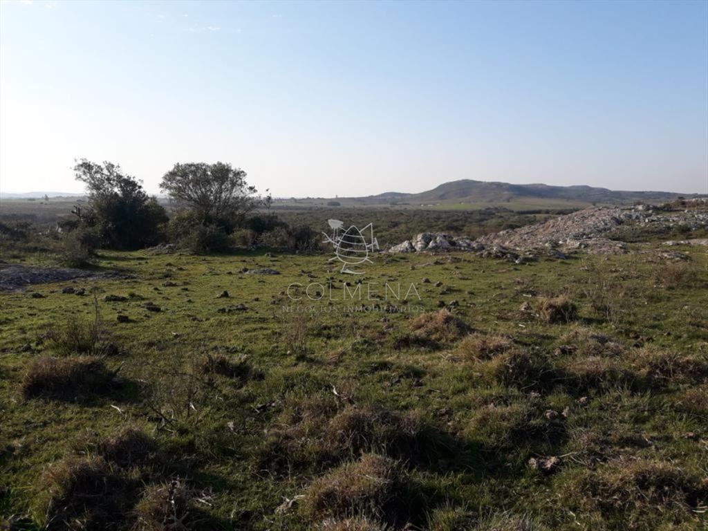 Campo de 66 has con 1991 m2 - En Corte la Leña -