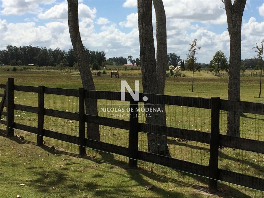 Chacra en venta en La Pataia - Punta Ballena