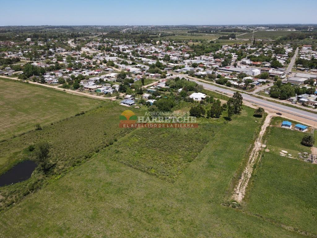 Terreno de 8000 m2 en Progreso, ideal