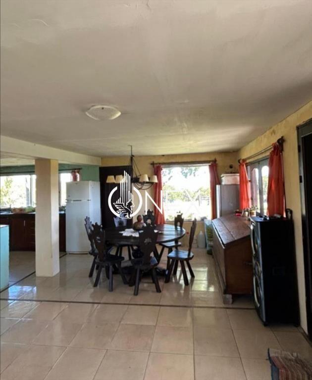 Venta chacra de 5 hectáreas con casa de 2 en Las