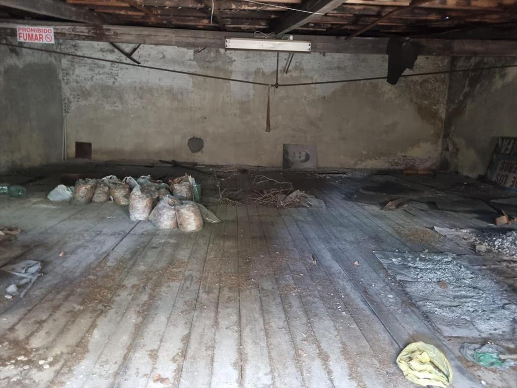 Local -local - Gral Flores y Berthelot , 500 m2 , 10 mts de