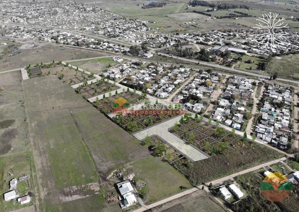Jardín de Los Manzanos   - Terrenos en Progreso