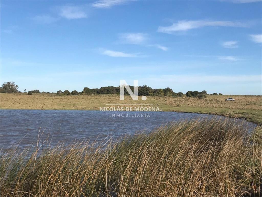 Campo en José Ignacio