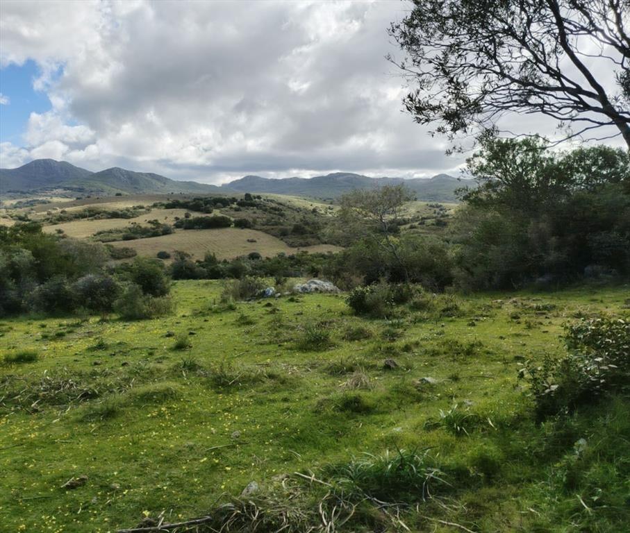 Chacra en Venta entre Ruta 12 y Ruta 60