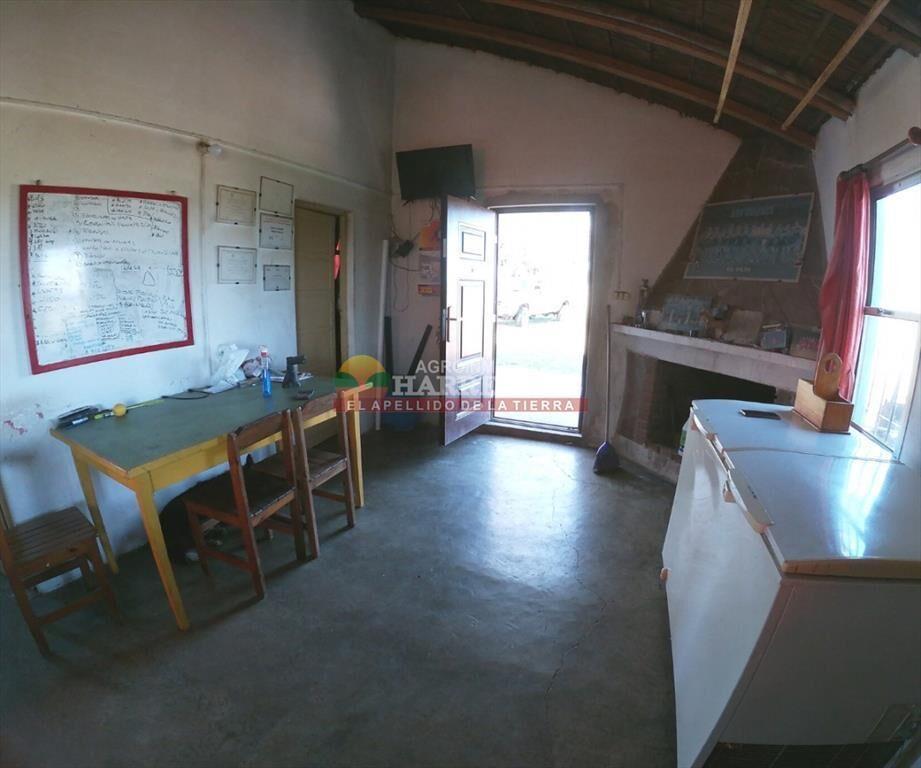 Campo en venta 18 has Canelones, con todas las