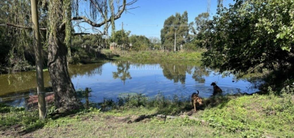 Venta de Centro Ecuestre de 6 ha I Montevideo