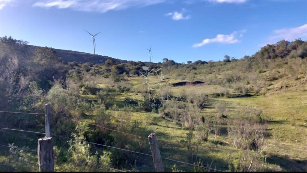 Campos de 6 y 5 has en los Caracoles 35 minutos