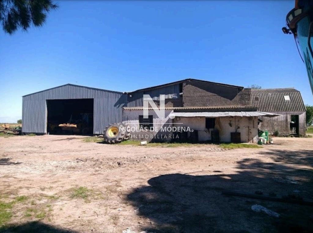 Vende Campo de 2 padrones en Treinta y tres.