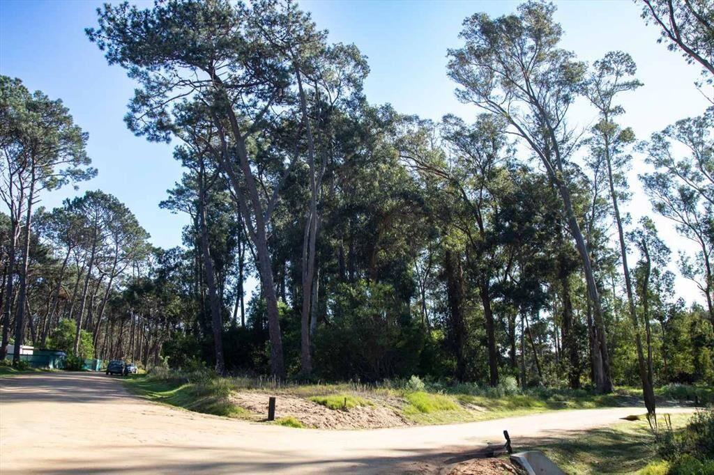 Venta  terreno Reserva Montoya