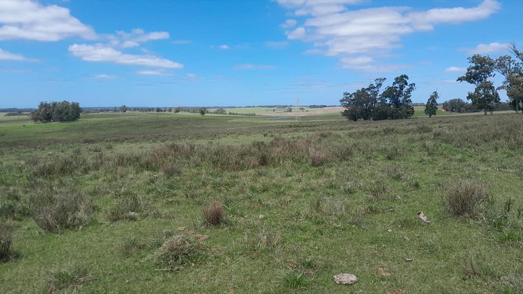 Campo en José Ignacio