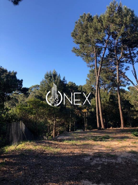 Terreno en venta en Club del Lago Maldonado