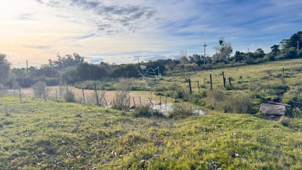 Campo de 4 has 1602 m2 muy cerca de ruta 12 y la