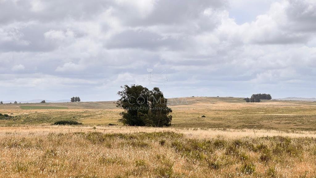 Campo 64 has en paraje Jose Ignacio