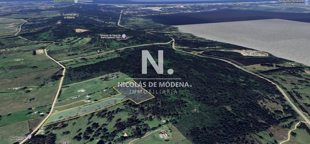Campo de 5 has con 4658 m2 en La Pataia