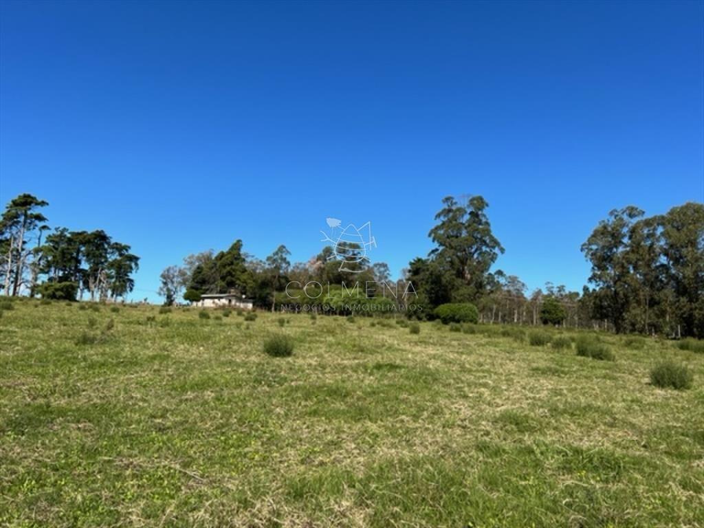 Campo 5 has con 2473 m2 sobre ruta 9