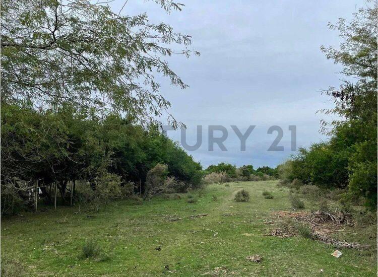 Chacra con casa y galpón en Santa Rosa de 4 hectáreas con...