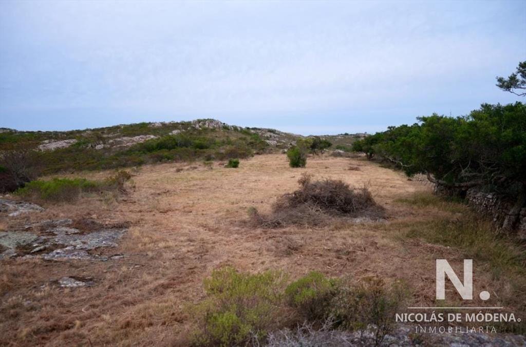 EL CERRO
