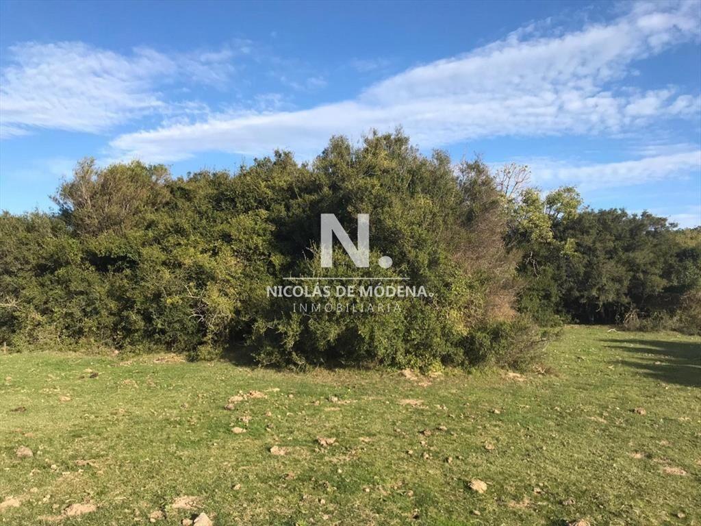 Campo en José Ignacio