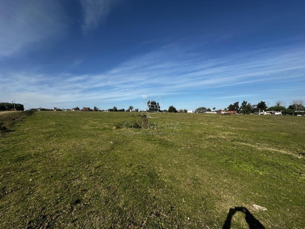Venta lote para fraccionamiento, San Carlos