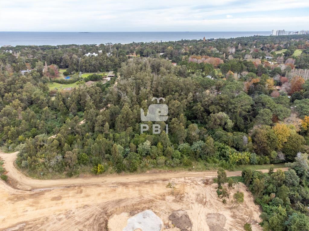Lotes de 2.500 m en El Golf, Punta del Este