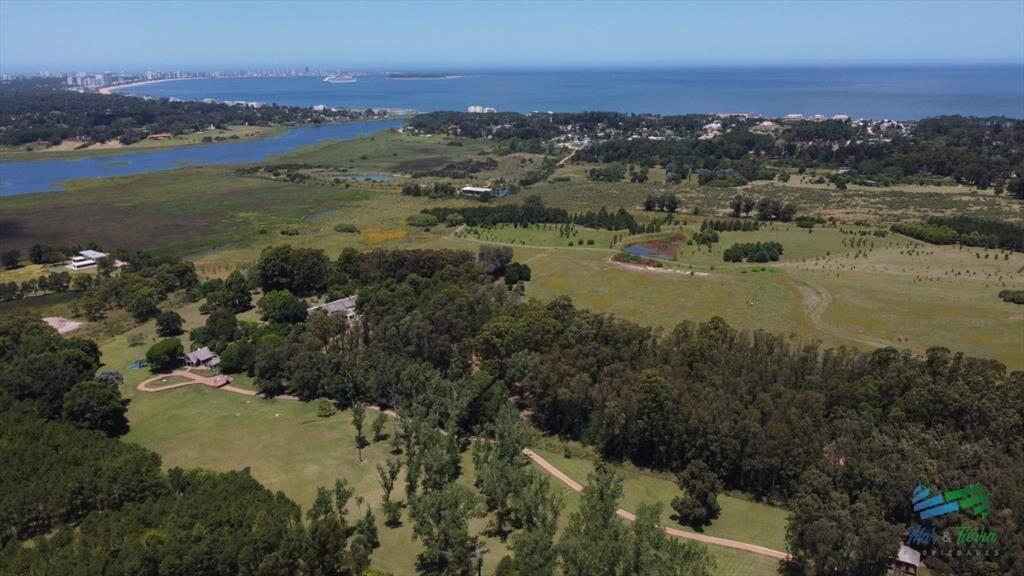 Vendo terreno de 1 hectárea tipo chacra en Laguna del Diar
